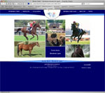 Patrick Barbe - worldwide bloodstock agent - Chantilly, France